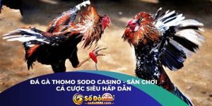 Đá Gà Thomo Sodo Casino - Sân Chơi Cá Cược Siêu Hấp Dẫn