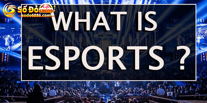 Thể thao điện tử Esport Sodo là gì?