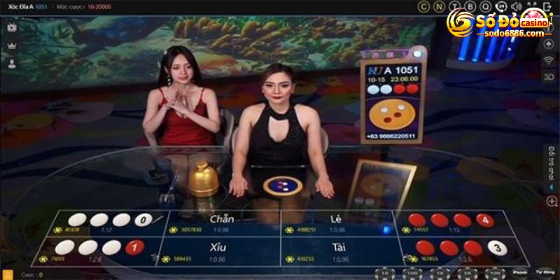 Quy tắc chơi xóc đĩa online Sodo casino